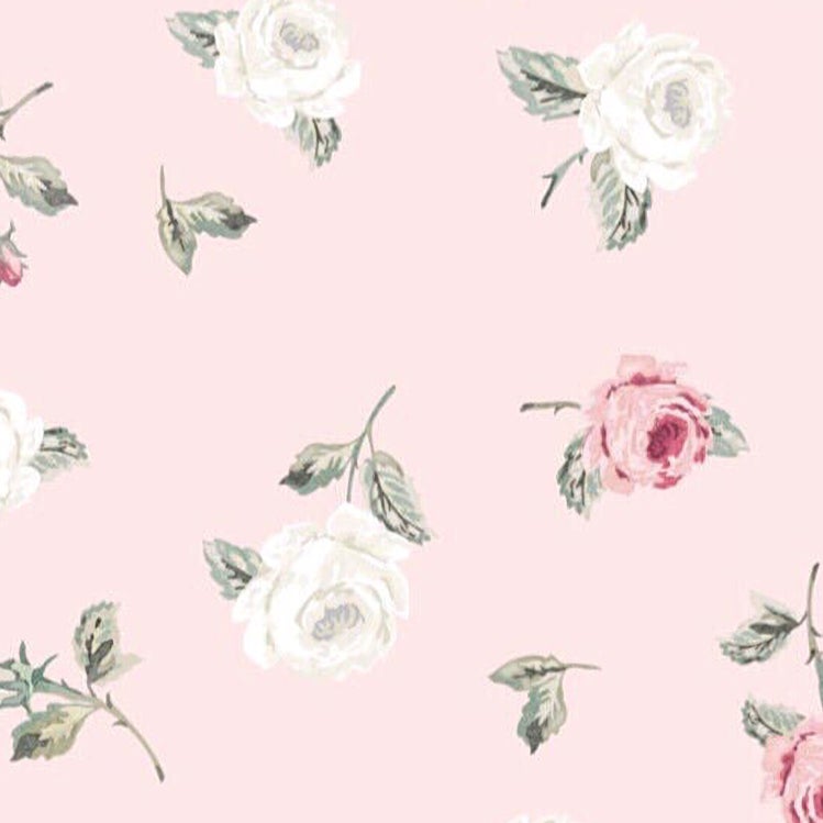 他メンバー 引用 💭