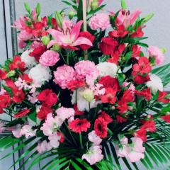 Yoshihito Teshimaのトーク