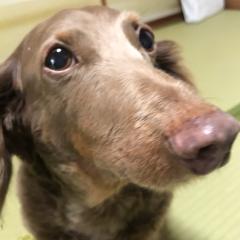 13面の素敵な待ちへ
