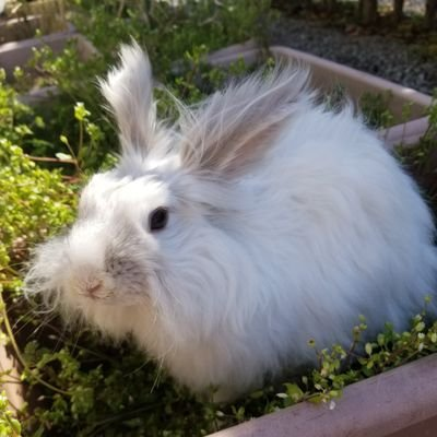 いっこいっこ♡