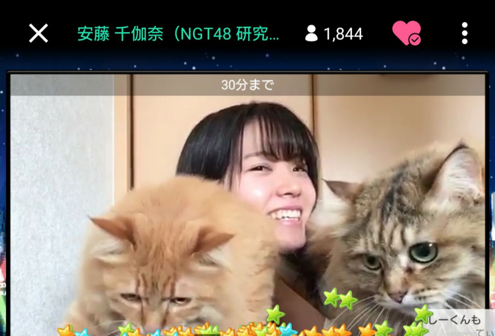 投稿画像
