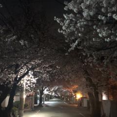 低重心