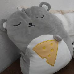 とんでも8分-Nのトーク