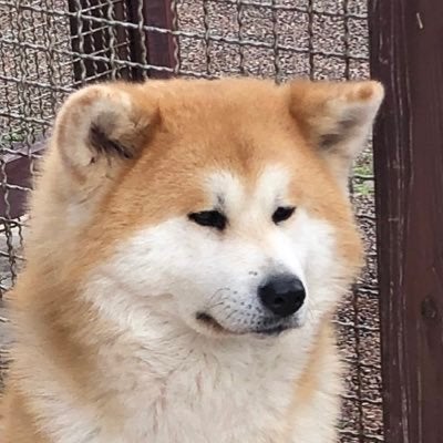 なぎ