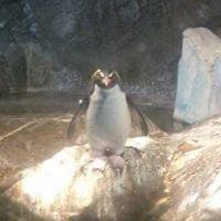 まさ♪のトーク