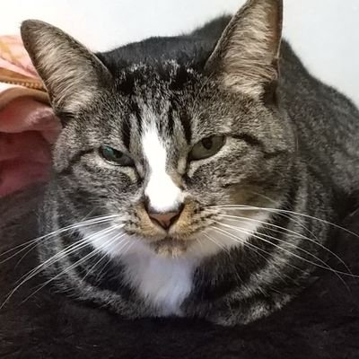 プータロー
