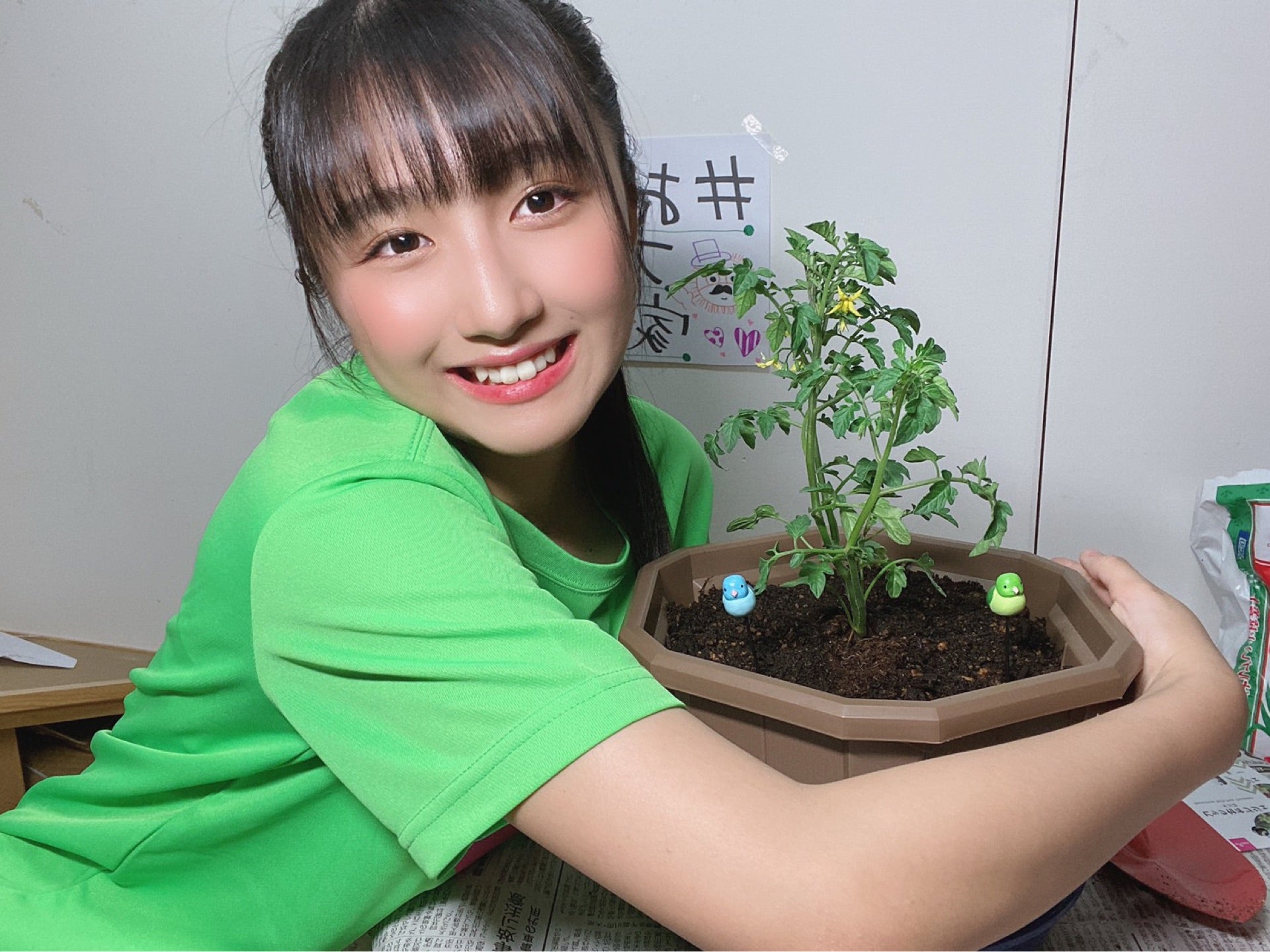 投稿画像