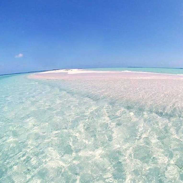 📨メール返信用