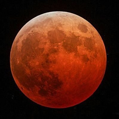 仏のtoeさん 🍀☀️⊿(ヒッグス)