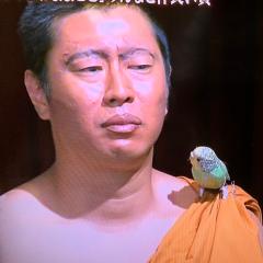 蛇口ステイホーム