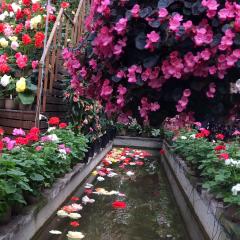 (  ◜௰◝   )のトーク