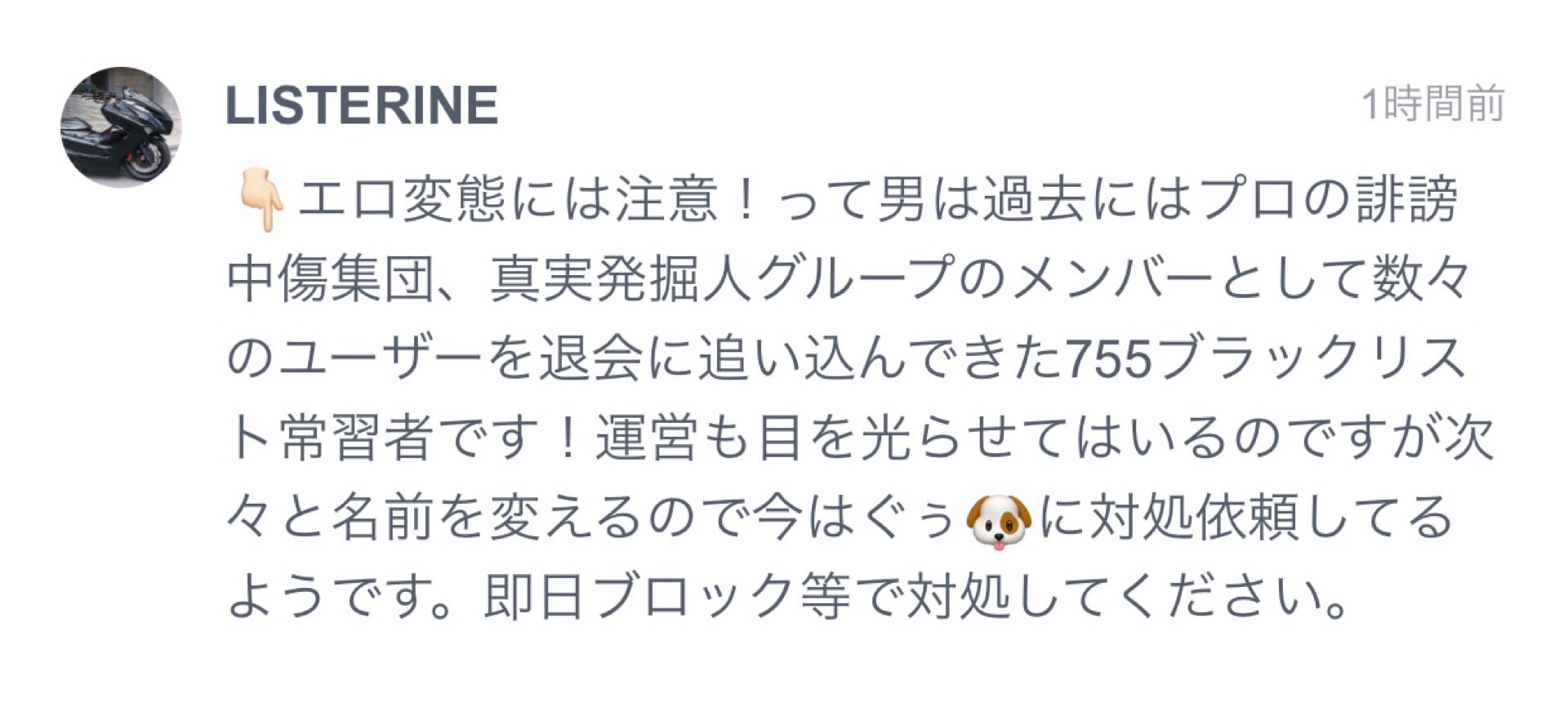 投稿画像