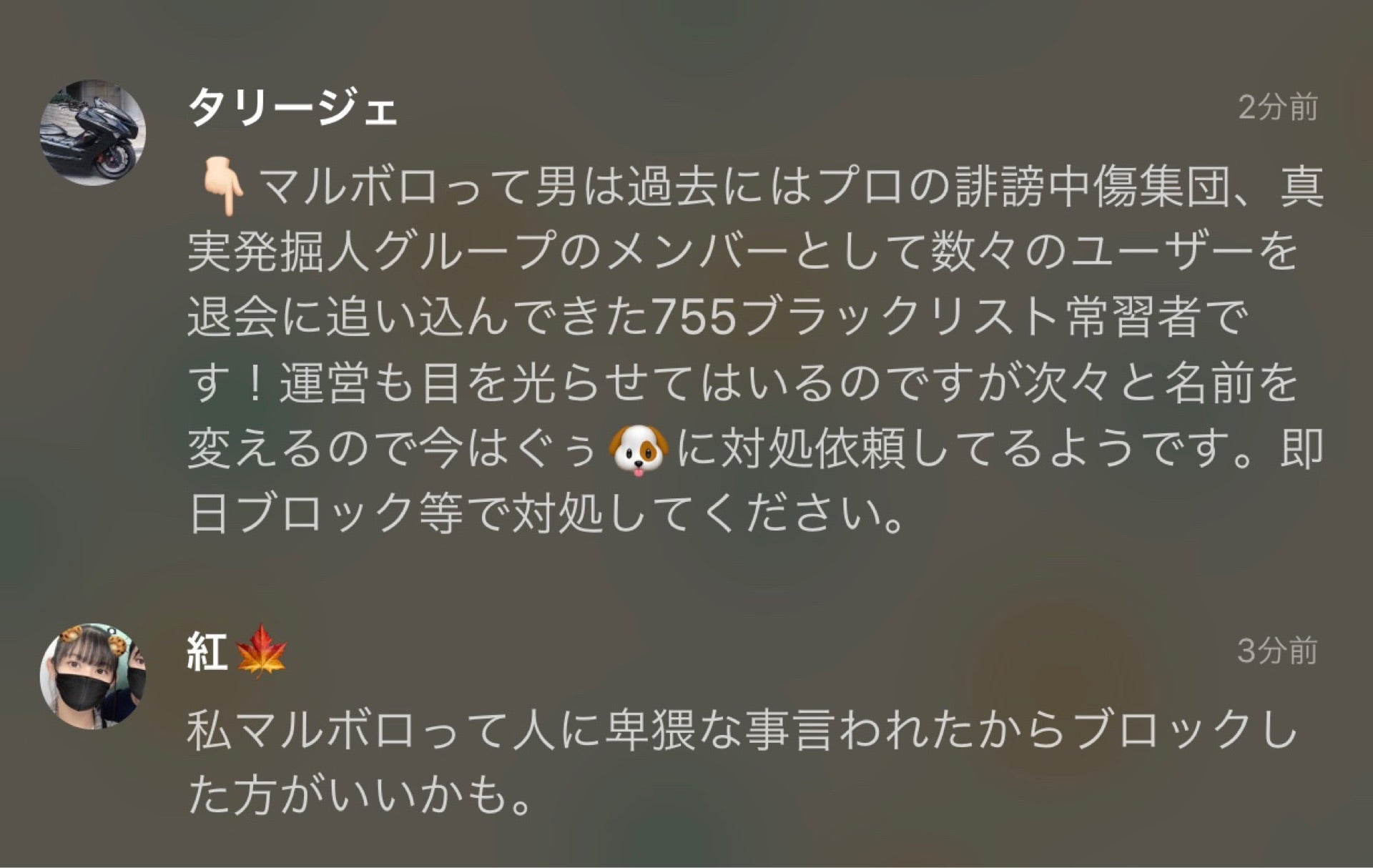 投稿画像