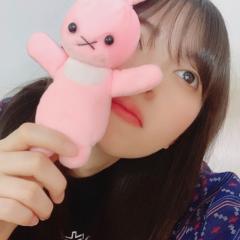 noginogi