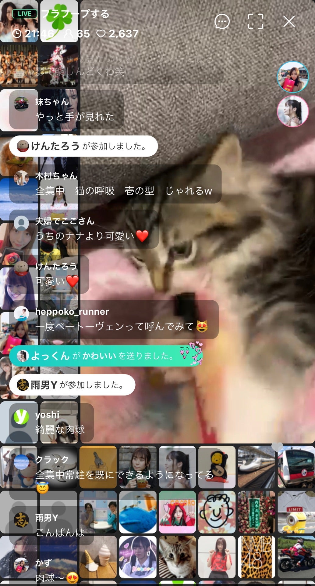投稿画像