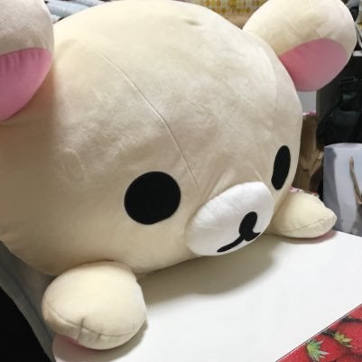 ものもの🤸🐡🌰