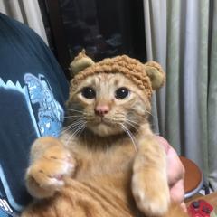 しんぐべー先生
