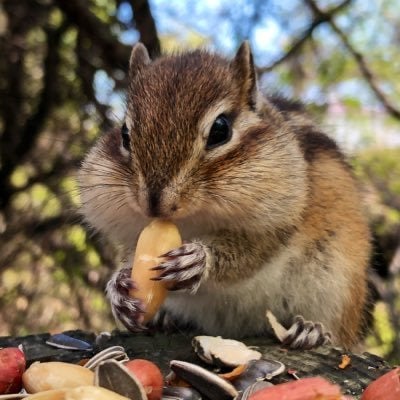 ゆー@カメラ女子のトーク