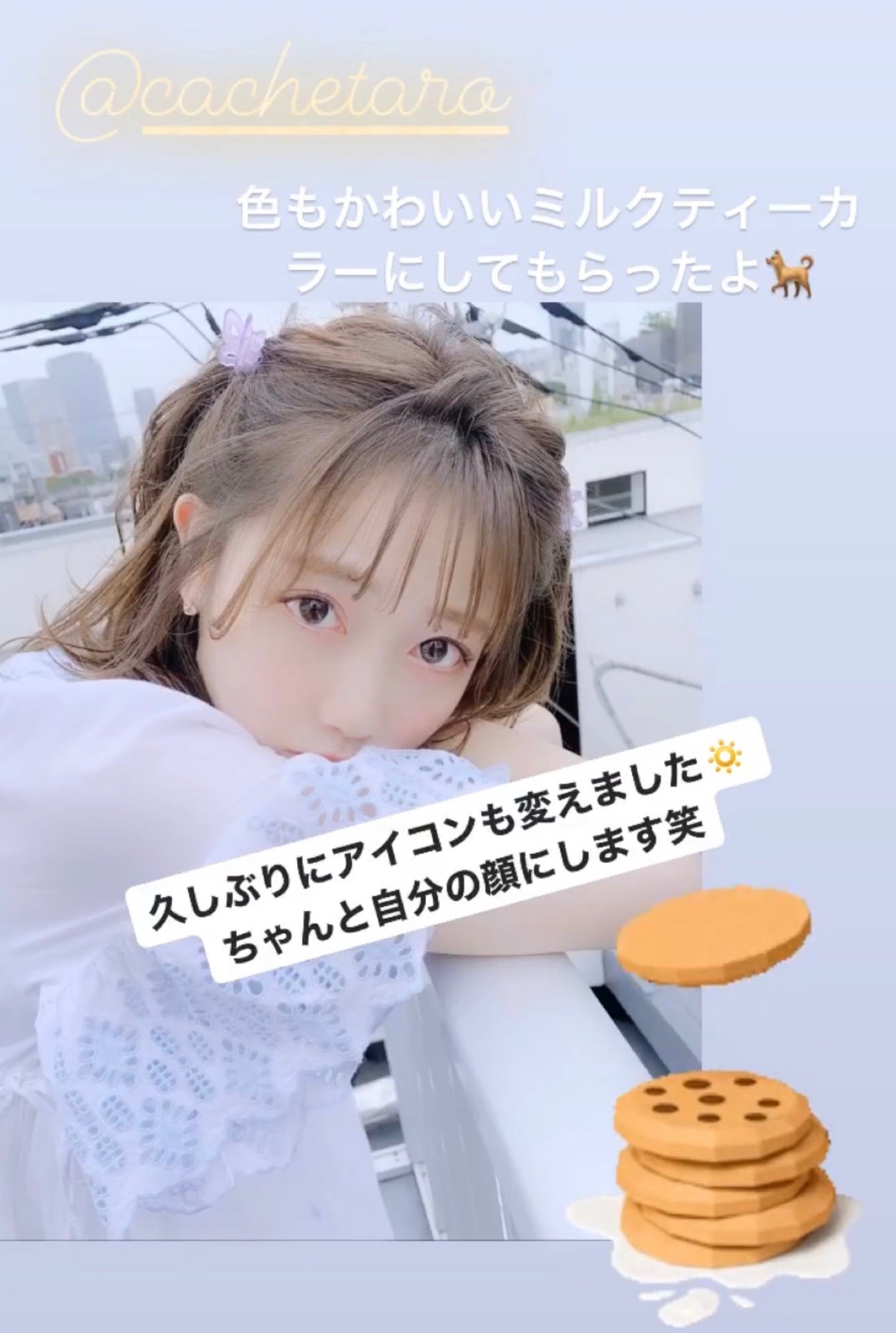 投稿画像