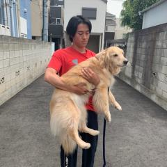 やまもとしゅう