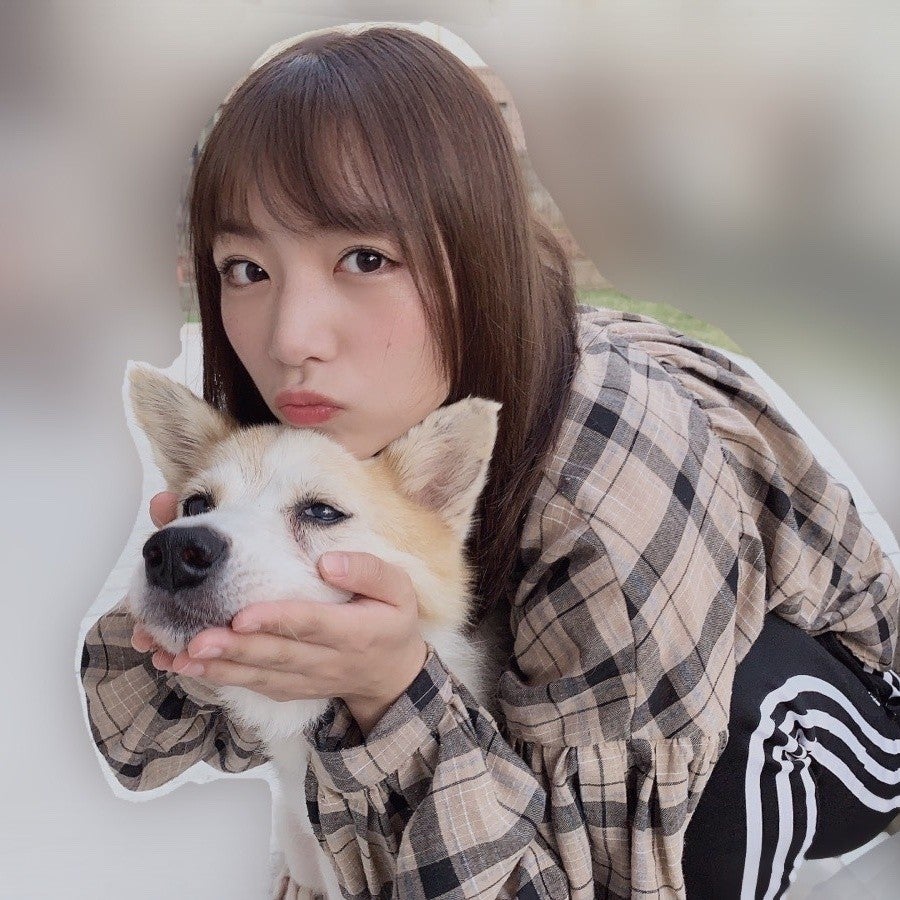 ヒラヒラ