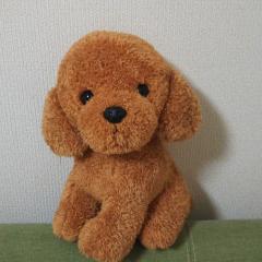 ゆうた🍓🕊️