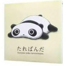 さんちゃん✌️