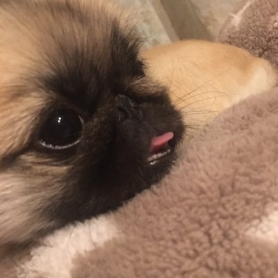 #tama...のトーク