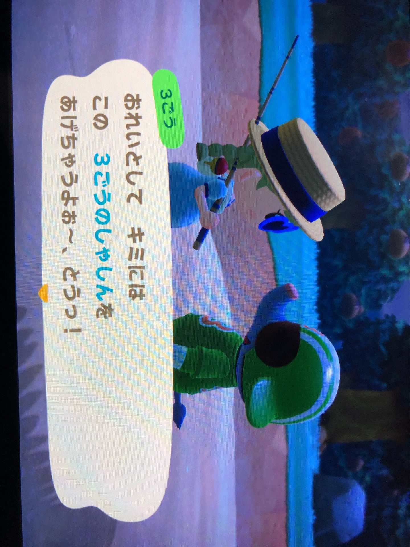 投稿画像