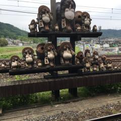 デジタル調理師