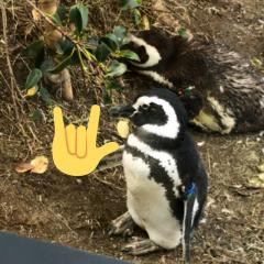 ジャスティースのトーク