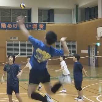 すいる