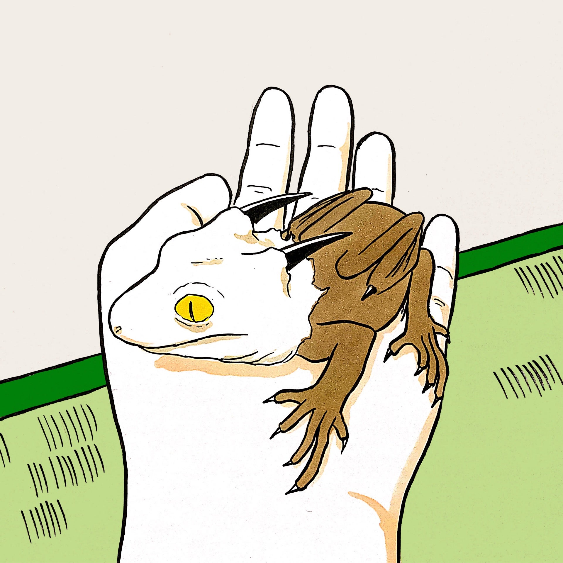 投稿画像