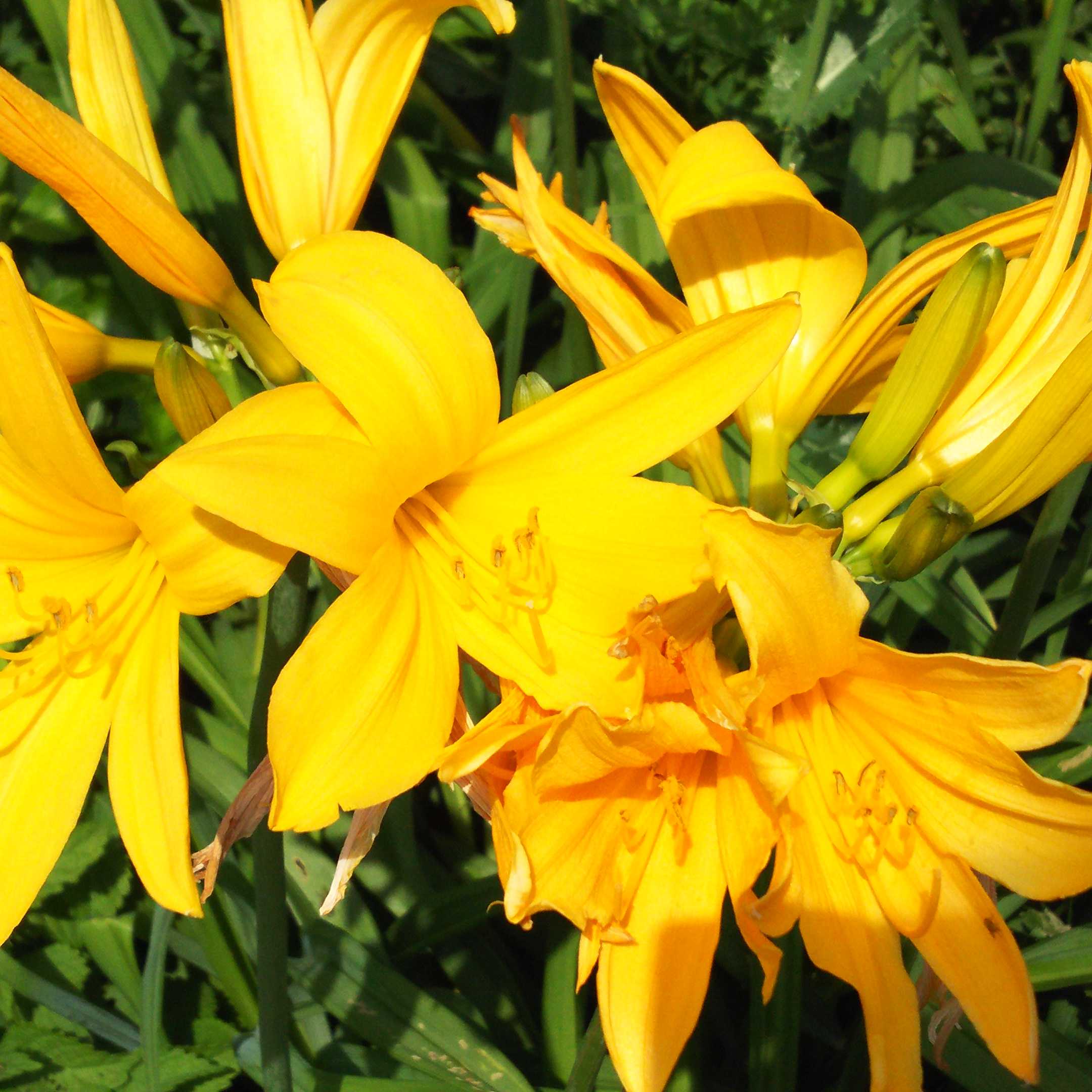 えーさんのトーク