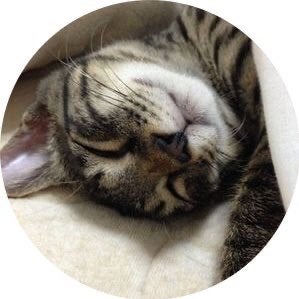 かのりんご＠アイドル垢のトーク