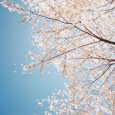 後ろめたいムエタイ