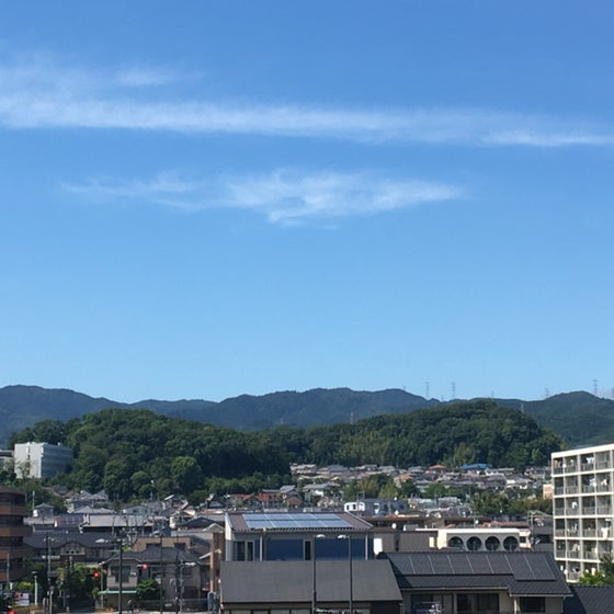 ゆうちゃん