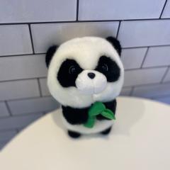 ひーちゃんのトーク