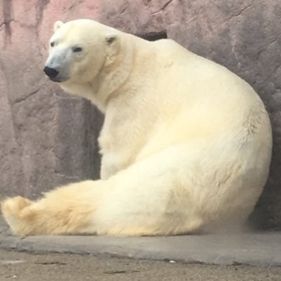 ぼくてんのトーク