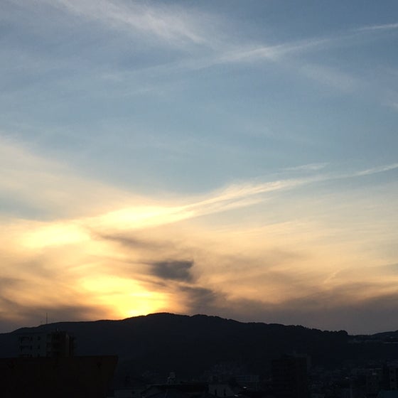 アナウンサー&お笑い