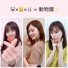 ๐ผใจ๐ฑใจ๐ฐใฎๅ็ฉๅโจ