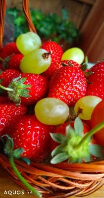 すずかのトーク