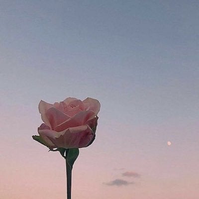 ✍️🏼のトーク