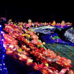 せっかく戻ってきたから寄り道しにきてや🚶