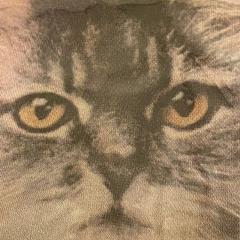 はんぺんぺんのトーク