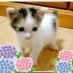 ひろたん