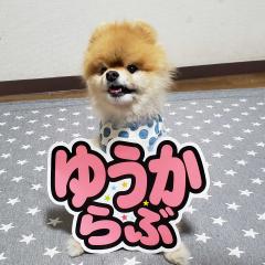 ゆうかりんルーム