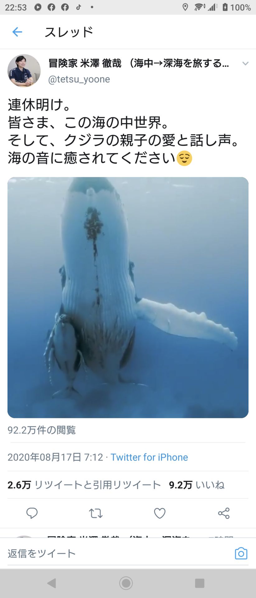 投稿画像