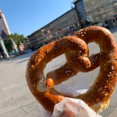 ヨシノザウルス