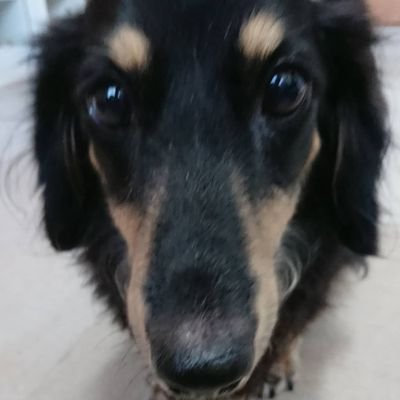 はすみ 14歳 中3